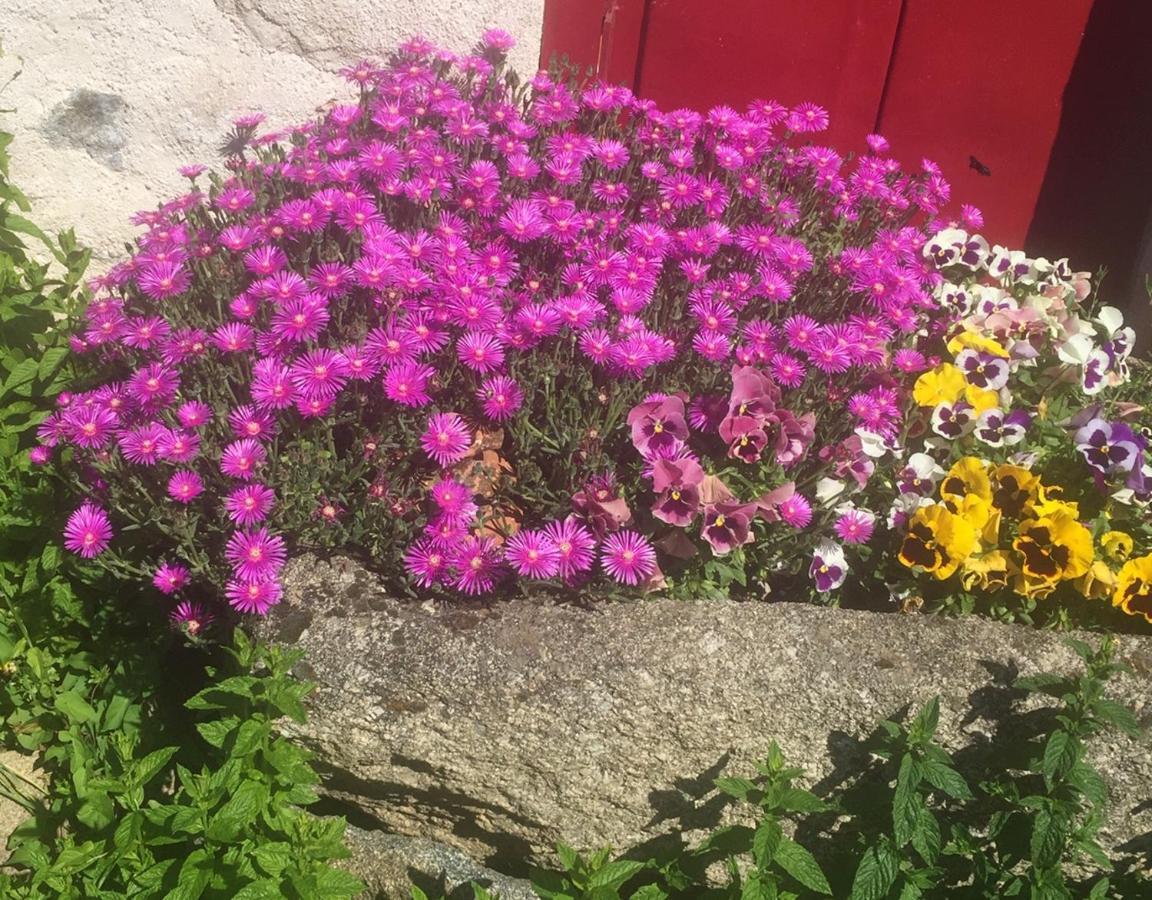 Bed & Breakfast Les Maitres Sonneurs Huriel