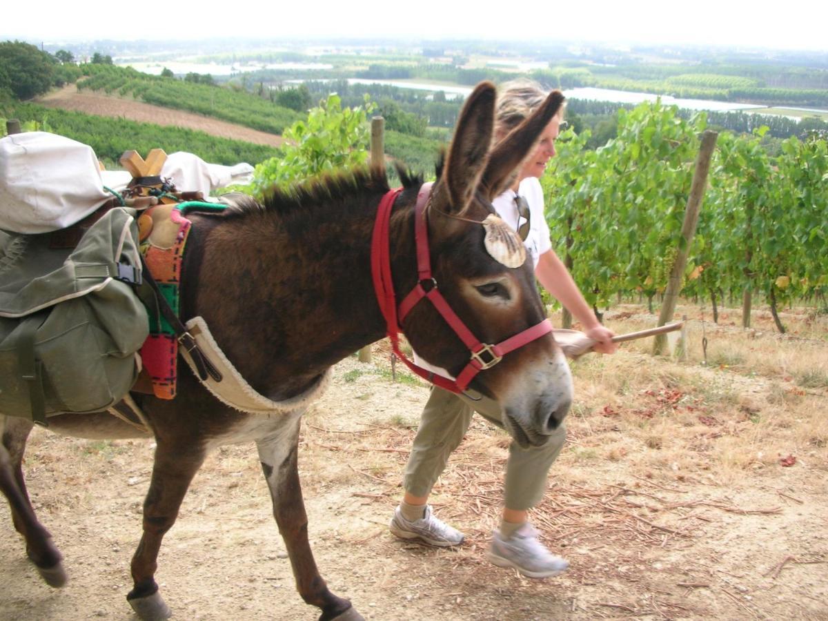 Les Maitres Sonneurs 3* Huriel